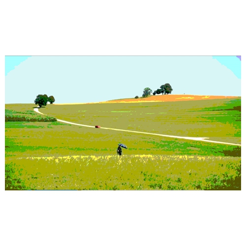 Colline arbres